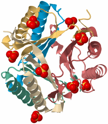 Image Biological Unit 2