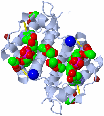 Image Biological Unit 1