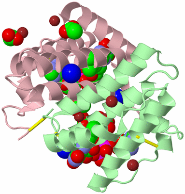 Image Biological Unit 2