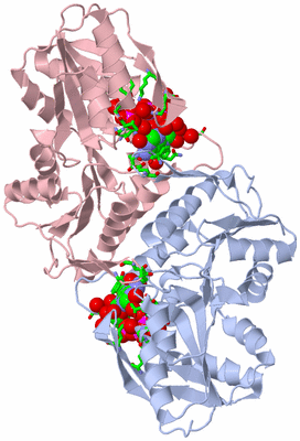 Image Biol. Unit 1 - sites