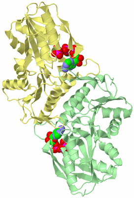 Image Biological Unit 2