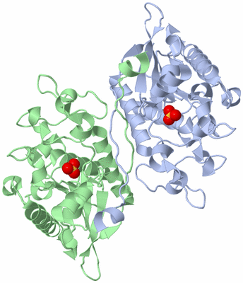 Image Biological Unit 1