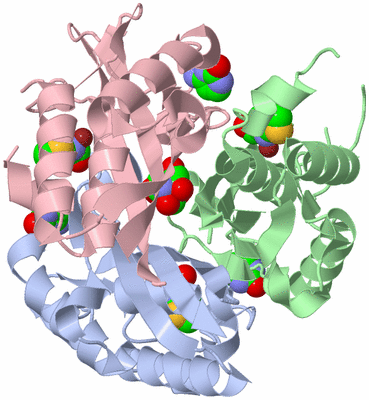 Image Asym./Biol. Unit