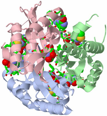 Image Asym./Biol. Unit - sites