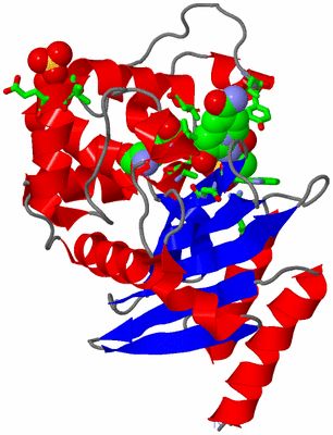 Image Asym./Biol. Unit - sites