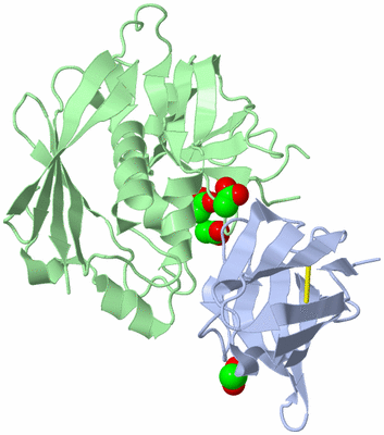 Image Biological Unit 1