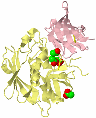 Image Biological Unit 2