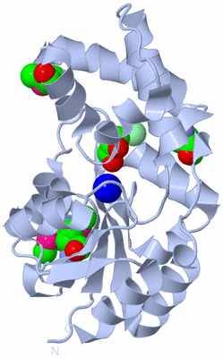 Image Biological Unit 1