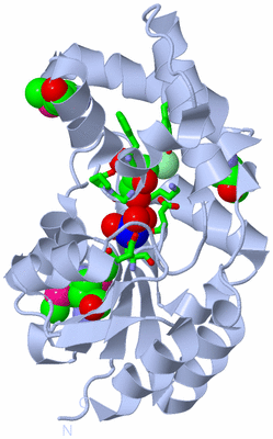 Image Biol. Unit 1 - sites