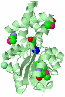 Image Biological Unit 2