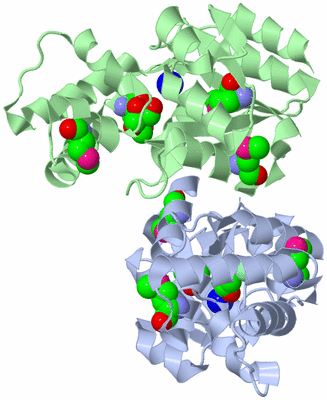 Image Biological Unit 3