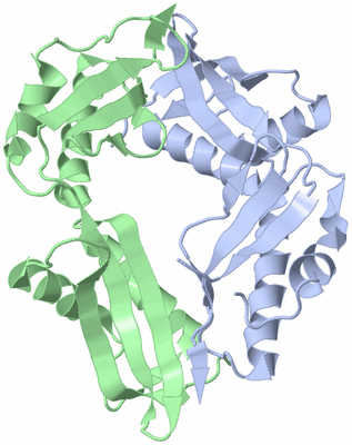 Image Biological Unit 3