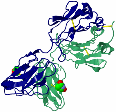 Image Biological Unit 2