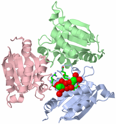 Image Asym./Biol. Unit - sites