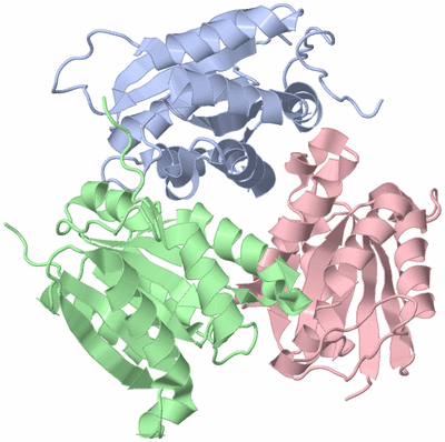 Image Biological Unit 1