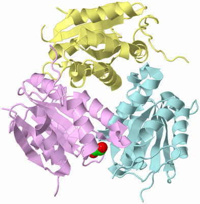 Image Biological Unit 2