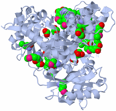 Image Biological Unit 1