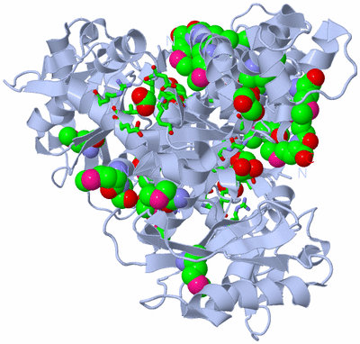 Image Biol. Unit 1 - sites