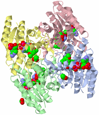 Image Asym./Biol. Unit