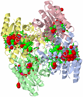 Image Asym./Biol. Unit - sites