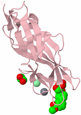 Image Biological Unit 4