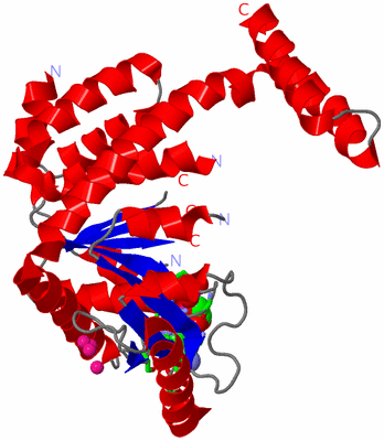 Image Asym. Unit - sites