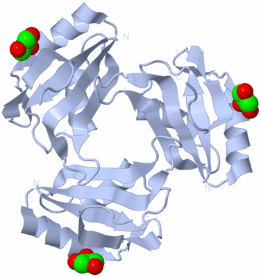 Image Biological Unit 3