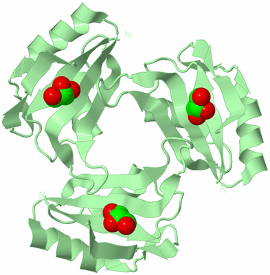 Image Biological Unit 4