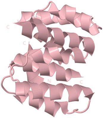 Image Biological Unit 3