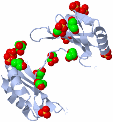 Image Biological Unit 1