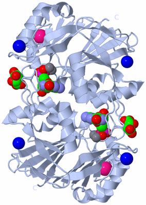 Image Biological Unit 1