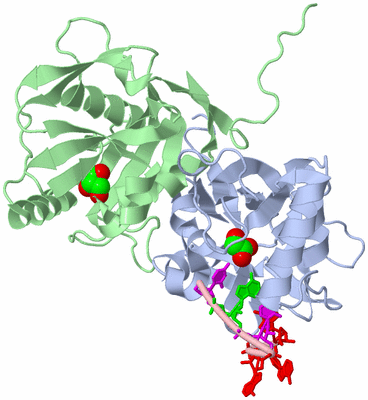 Image Asym./Biol. Unit