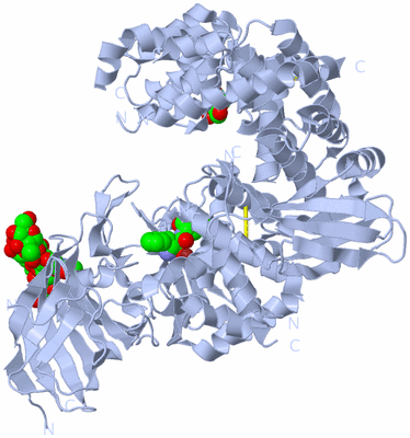 Image Biological Unit 1