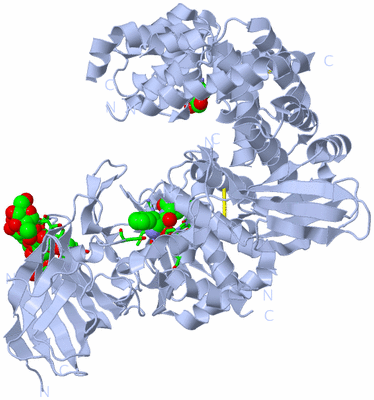 Image Biol. Unit 1 - sites