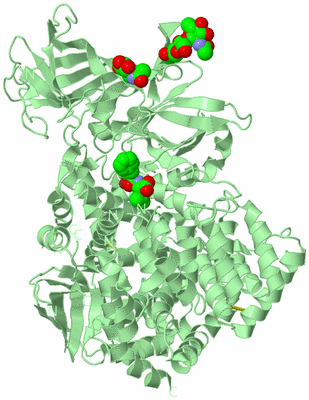 Image Biological Unit 2