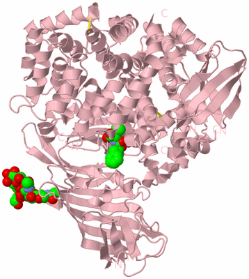 Image Biological Unit 3