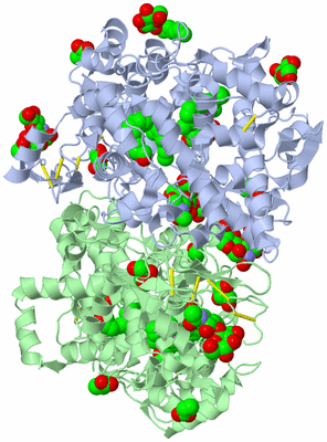 Image Asym./Biol. Unit