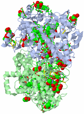 Image Asym./Biol. Unit - sites