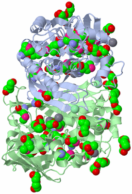 Image Asym./Biol. Unit