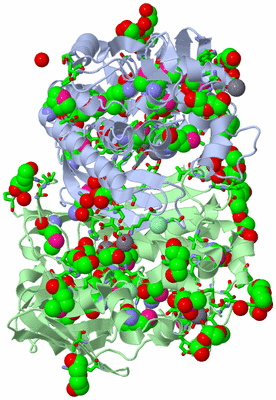 Image Asym./Biol. Unit - sites