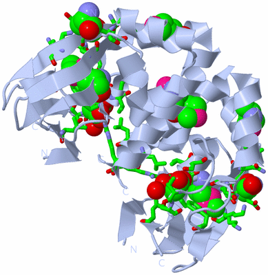 Image Biol. Unit 1 - sites