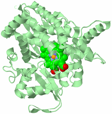 Image Biological Unit 2