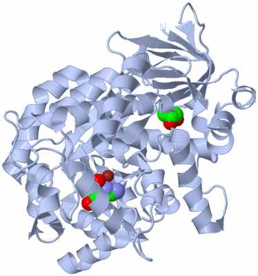 Image Biological Unit 1