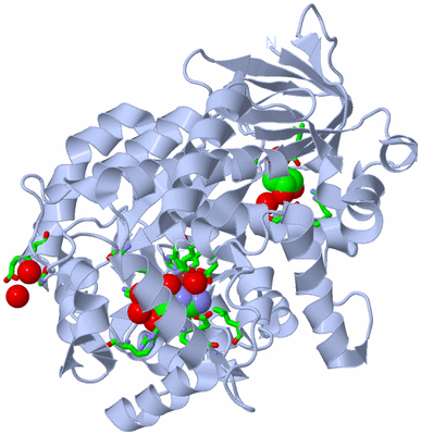 Image Biol. Unit 1 - sites