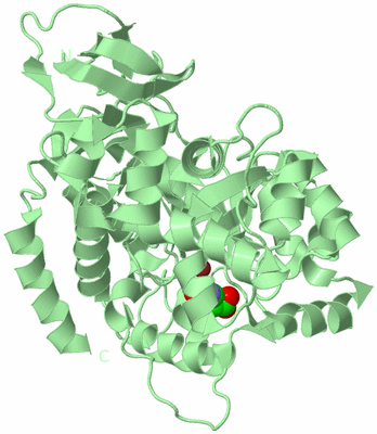 Image Biological Unit 2