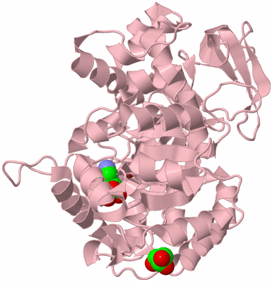 Image Biological Unit 3