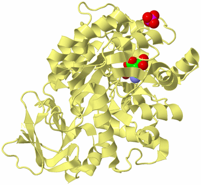 Image Biological Unit 4