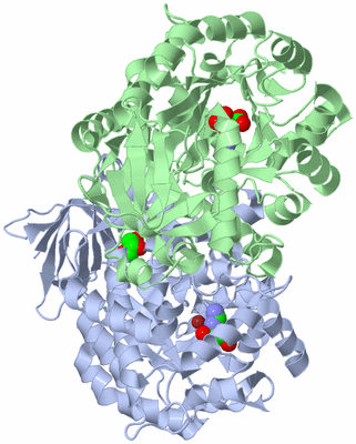 Image Biological Unit 5