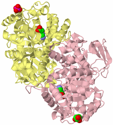 Image Biological Unit 6