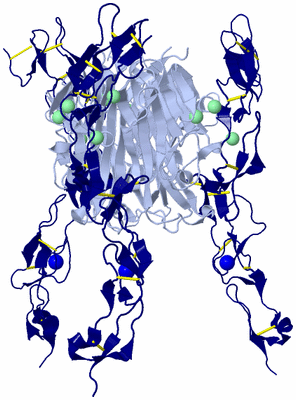 Image Biological Unit 1